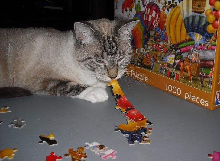 b6d7b75da1b7924955727d47d4