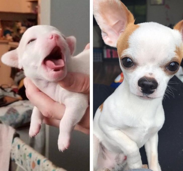 b6d7d95f3db14b5235658a7769