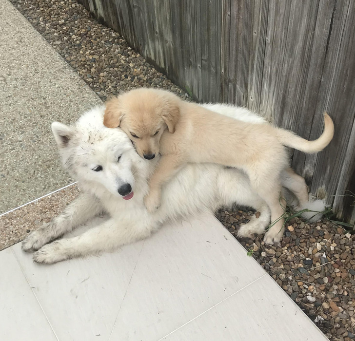 b6d7dc5330a30b3f99b9de8516