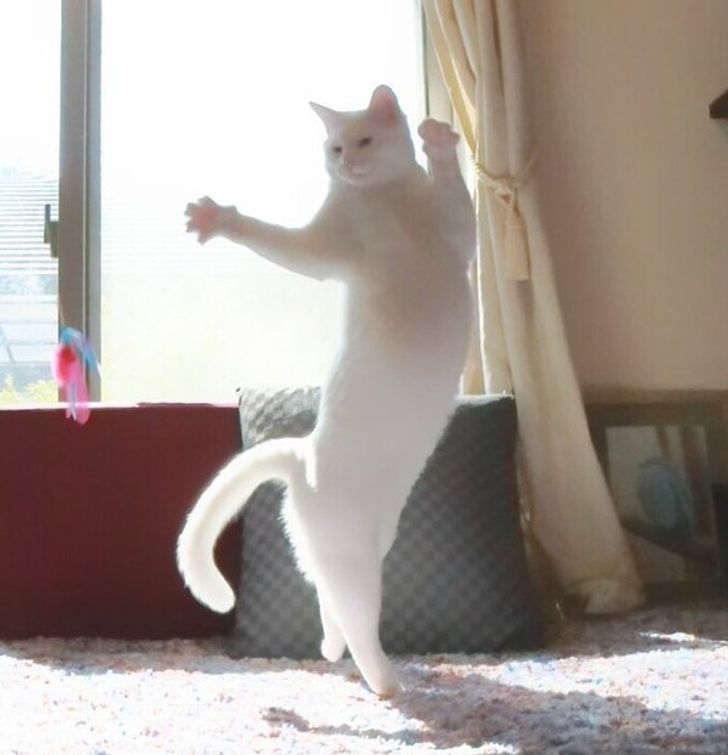 b6de3c51eeba5291996aa513b7