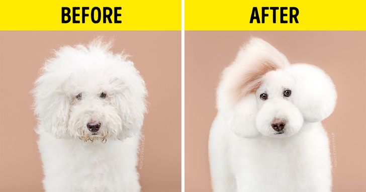 b6df115944a9ed603942999721