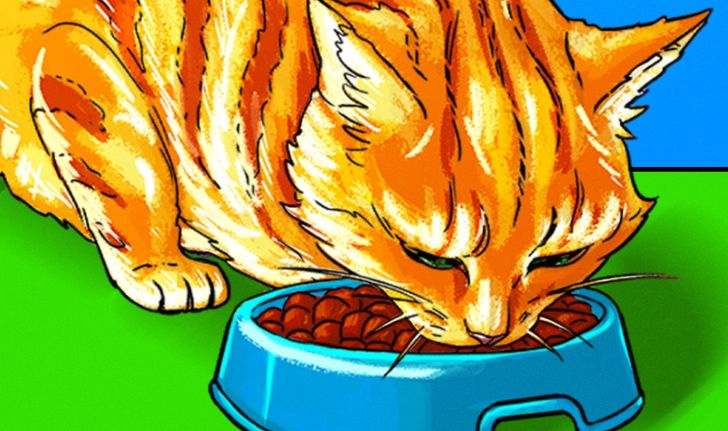 b6ee9555758d54197f69b69a94