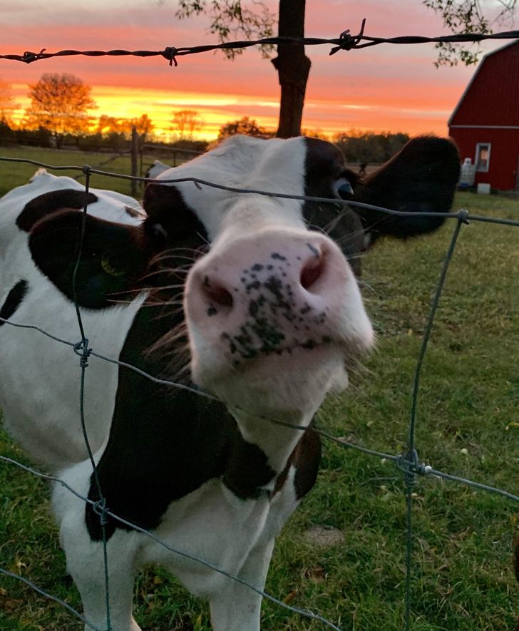 b6ef5059f685777407c58782a4