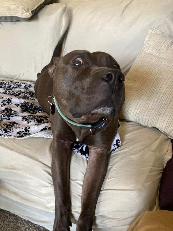 b6f62a53b39c5e542198843600