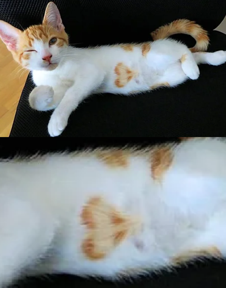 b6fe9b5e018d709163e101a2af