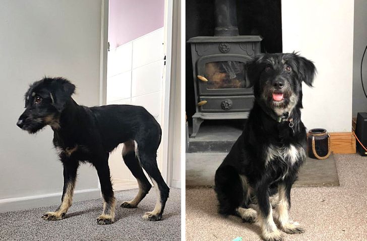 b70fe1556fa8461000008e514a