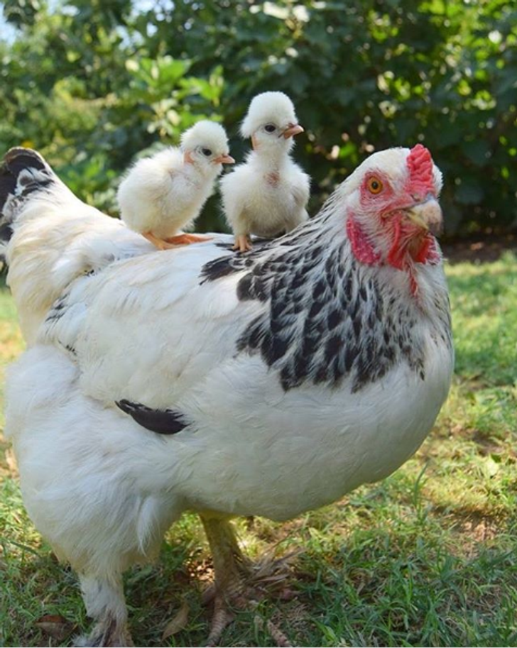 b713c357dab132d7e635afb9db