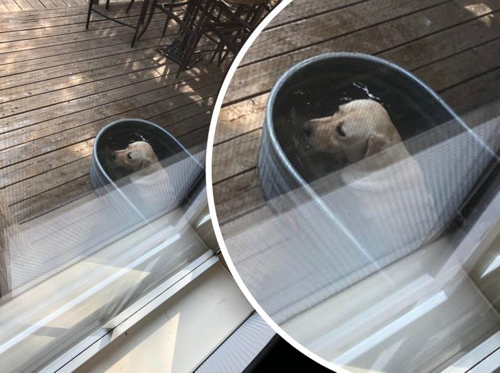 b7153e5a26810040c406e872d7