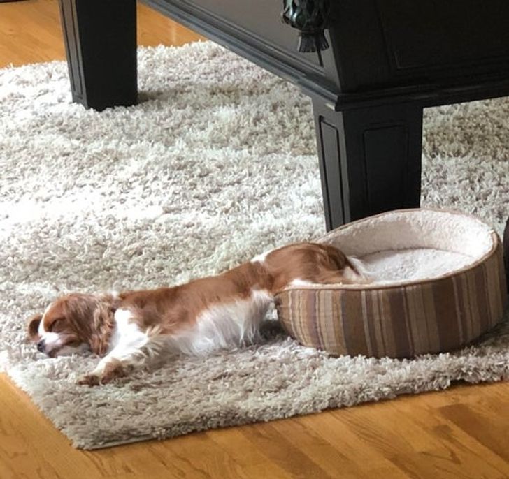 b7163158f7858e9fe85dfb1d83