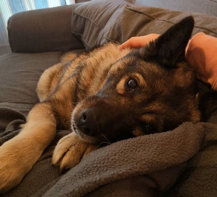 b71c2850638b77404c921b2d21