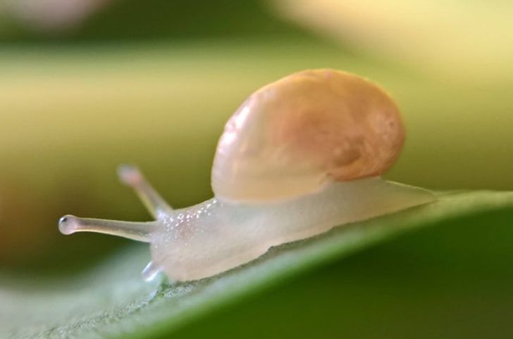 b71d1555dbae16148ad21ee761