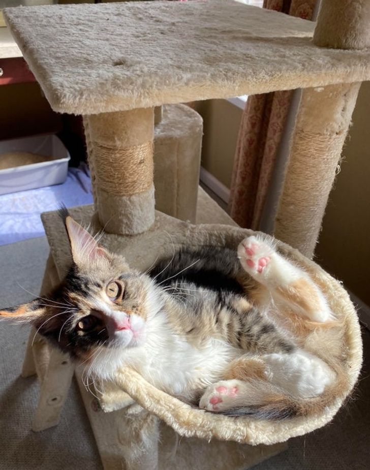 b71d425fde9b0d84cf911528fb