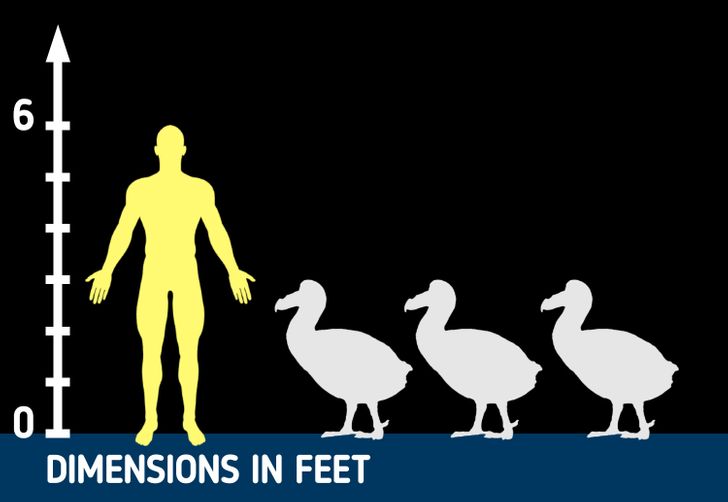 b7208c5574845407b81a605987