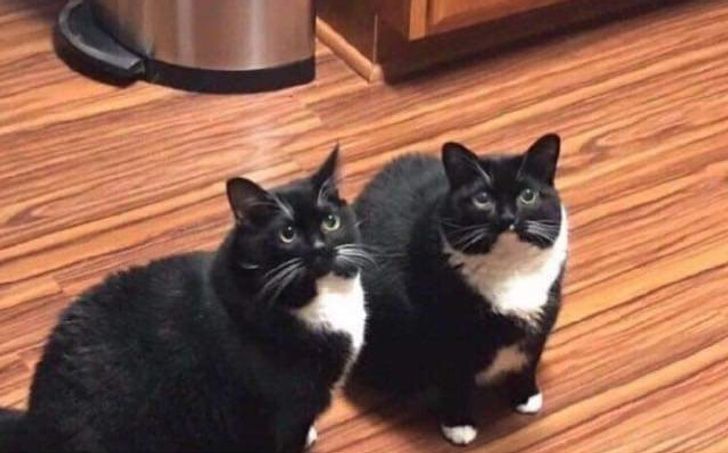 b722ab59518057ac90d3546dc0