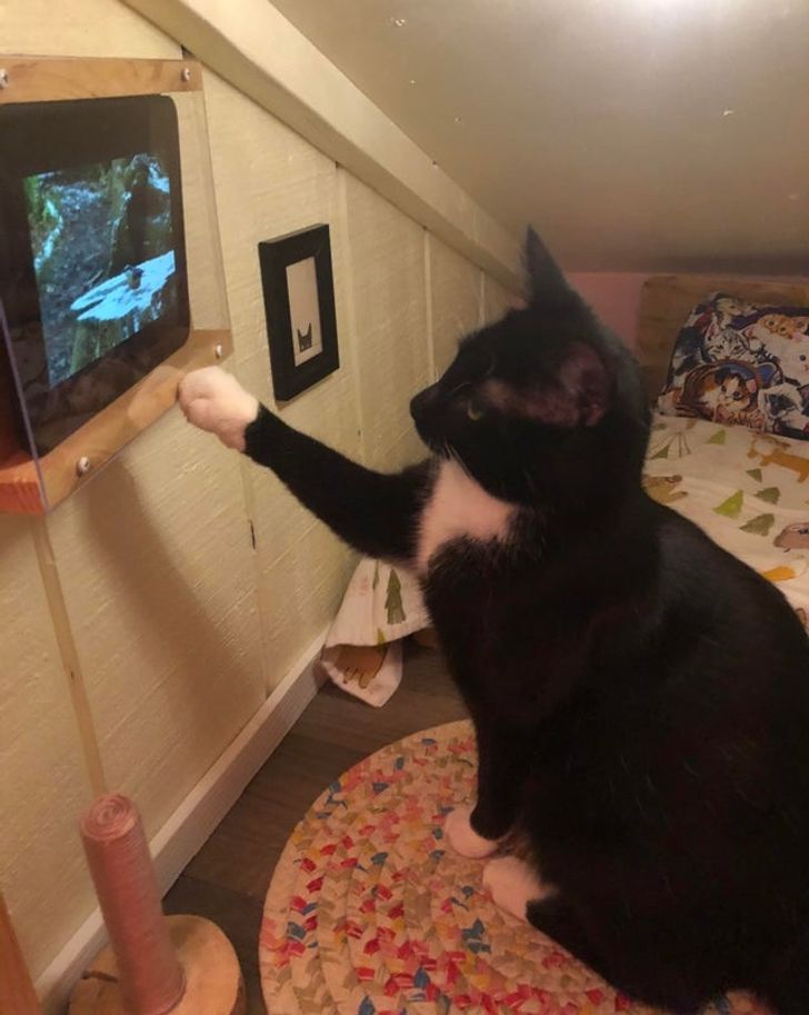 b730f159209637013f3b023d21