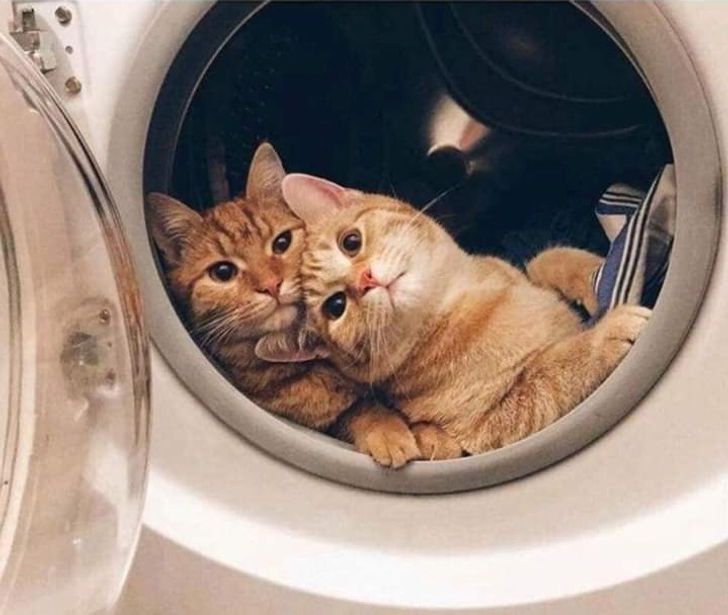 b732525883a10f2f52732ebbd8