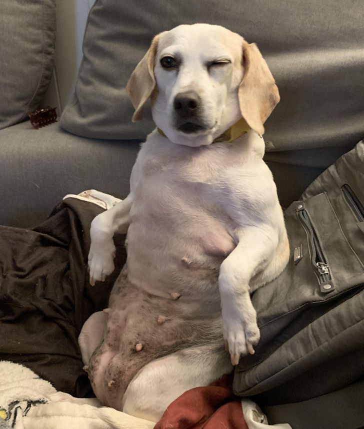 b7351e500481b79c4202259571