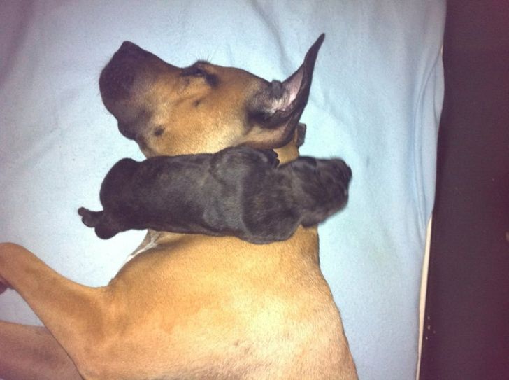 b740eb514c9c45da4ba1a14666