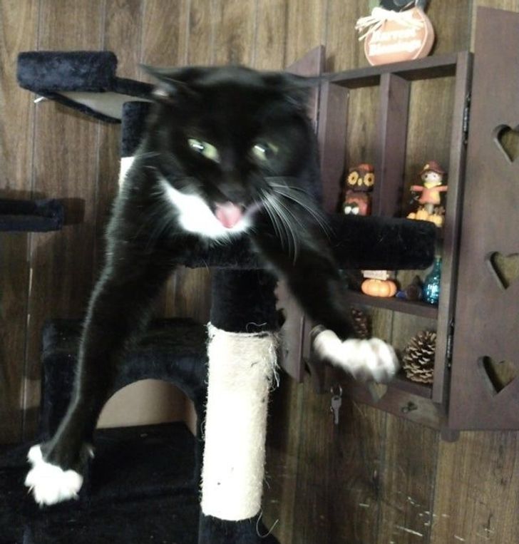 b74b6e5326b54e461e906c97f1