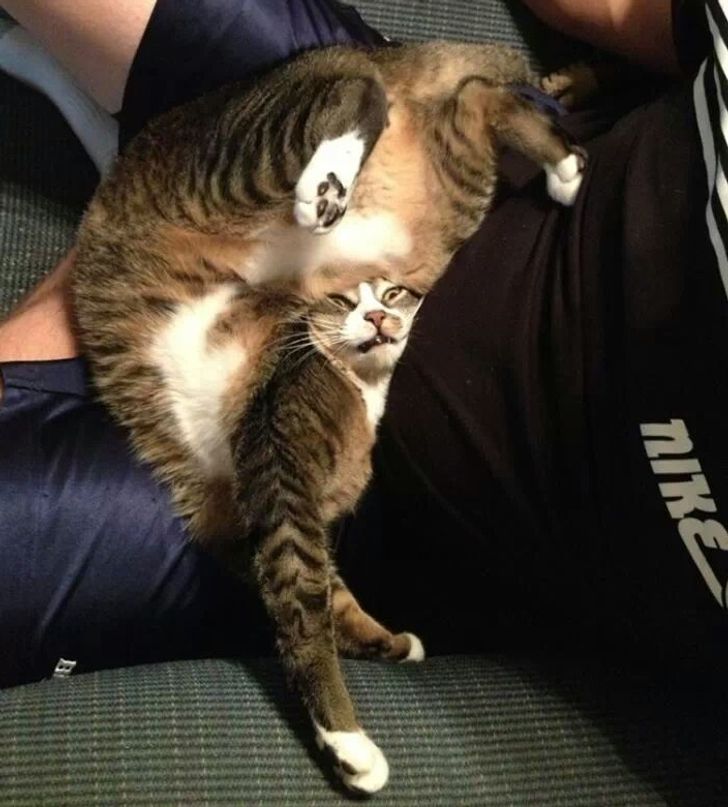 b74ee456379a2b7b9bf0897474