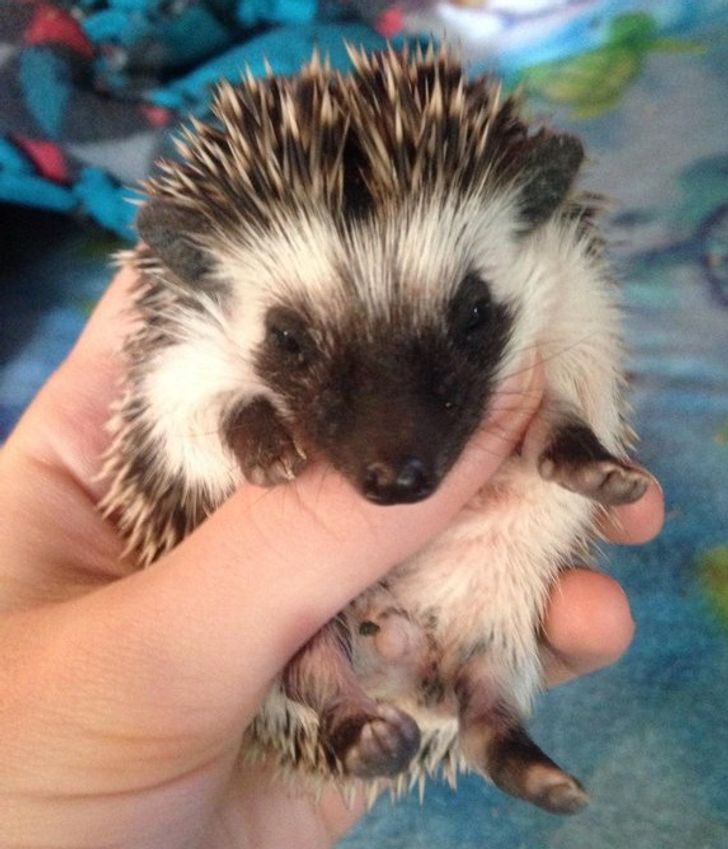 b755dc5907a32268e13089a027