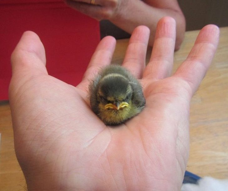 b757c65c15b38d323430901f71