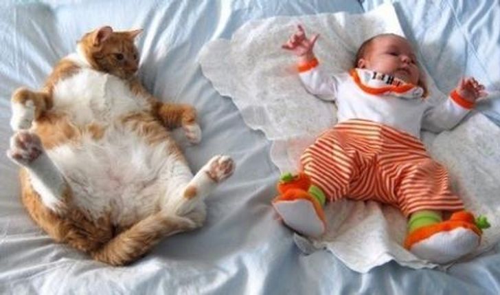 b761de520b960db8efc279d64f