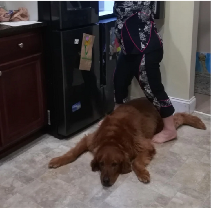 b7663c5f878af6d3789642e4cb b7663c5f878af6d3789642e4cb