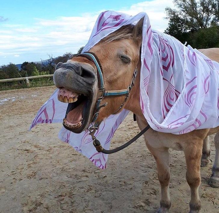 b769115bb38a0080f143484467