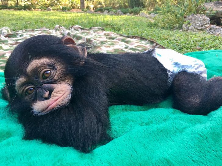 b775205dc69b0d7e8586ae97c0