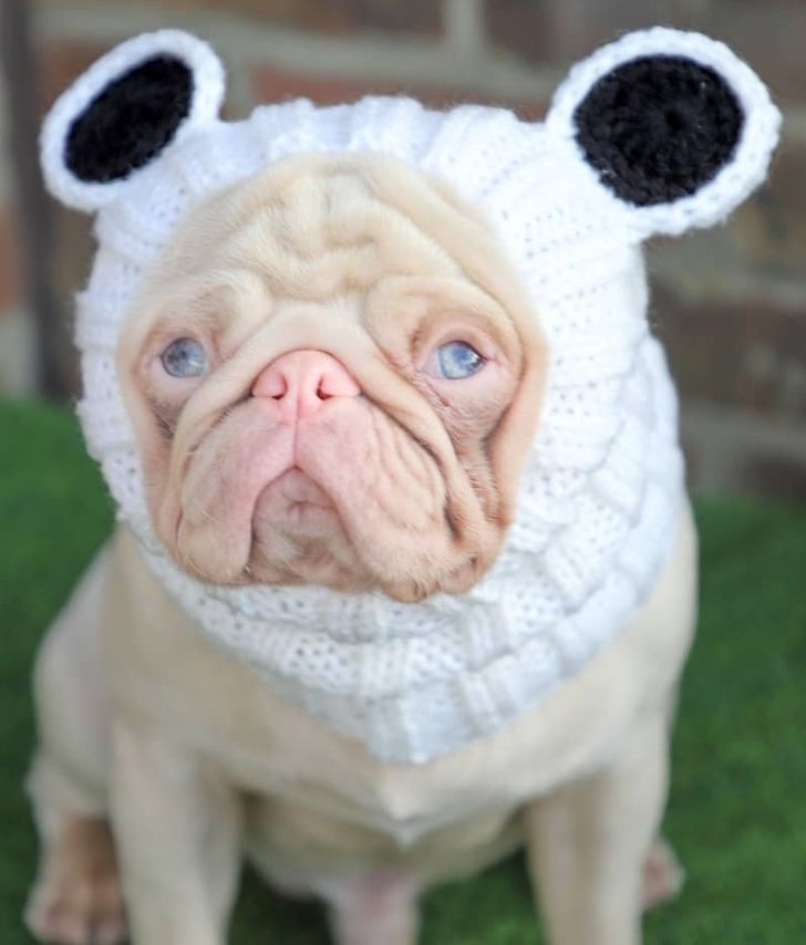 b775d756d48e85a785862affaa