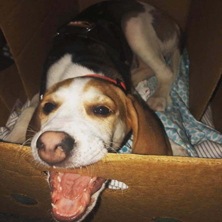 b7844a5c0db436dd016ca33752