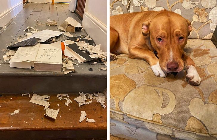 b786725f0cb3356b16644e6e64