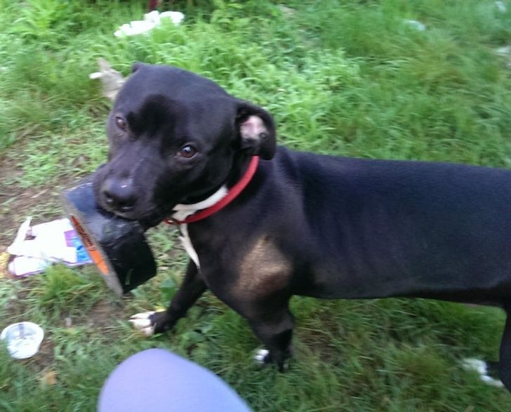 b7874f590682fabb924f91c906