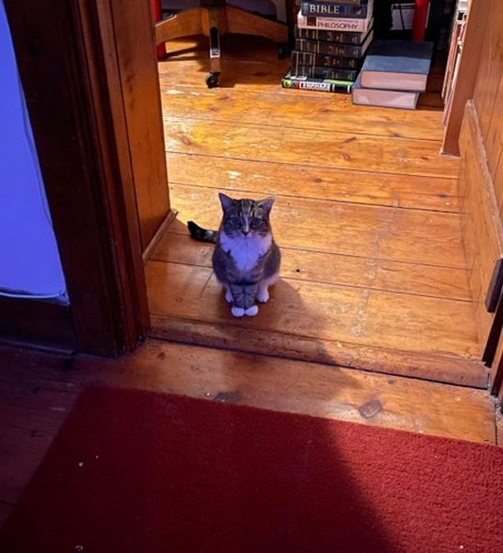 b787f15fceac699ec1ab02e7c7