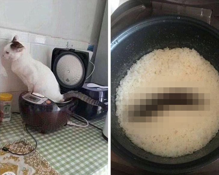 b78db75bbfa0b8b0061853be2f