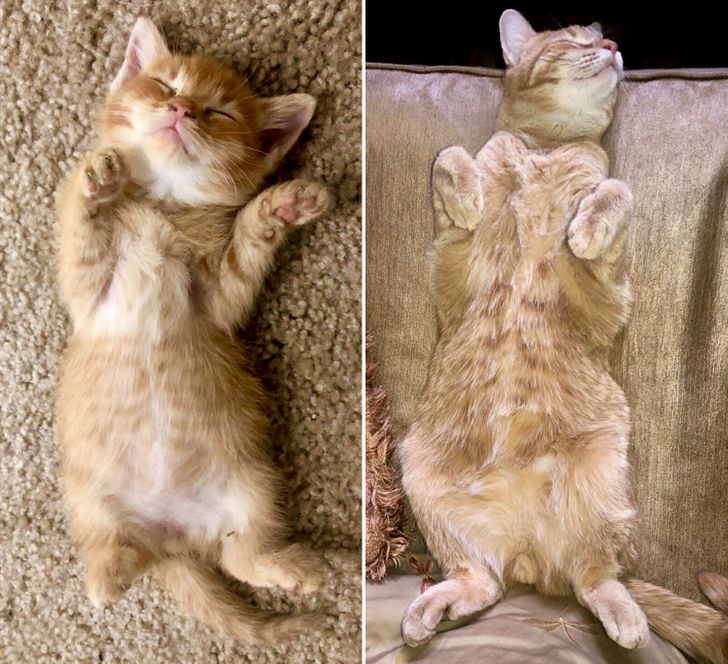 b79bd95b5bae84a727dcc1bf87