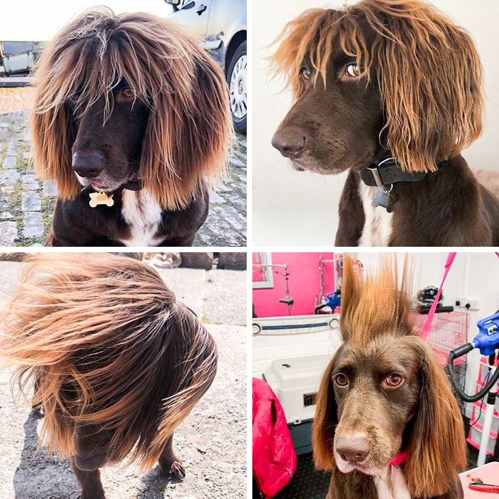 b79c15517281317920e5c89ea2