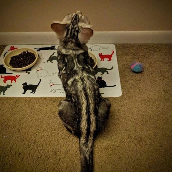 b79dd2525f859e03bb5ec56e06 b79dd2525f859e03bb5ec56e06