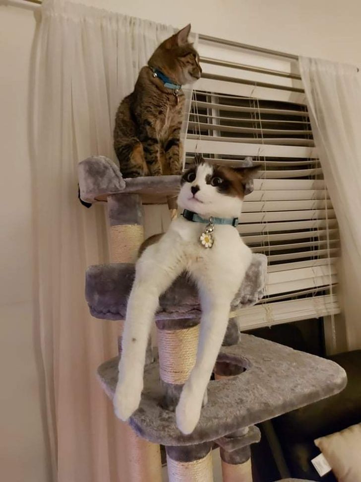 b7a4dc5b0b97be24caac709c87