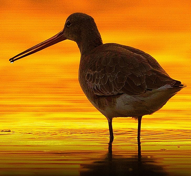 b7b58251e1a4d7f01e4d3e30d5