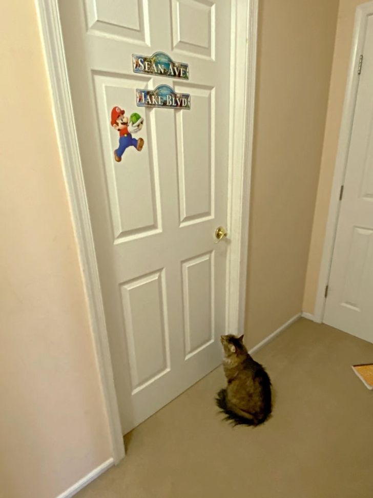 b7b9065008b1f1bc8a0398422b