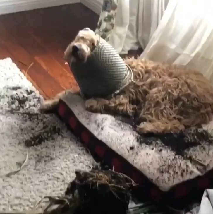 b7bf9658ac850ea4542462c1af