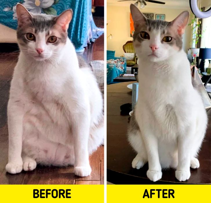 b7c4cc5581bdbc5def486170da