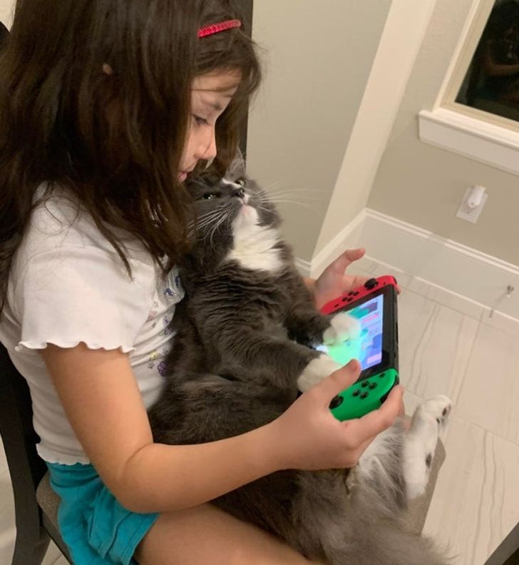 b7c6155fc0ac5ba84b85b0cbdf