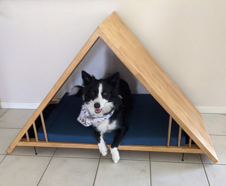 b7cbaa50dd8046e096fd7f0815