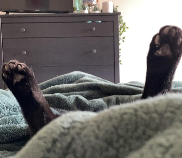 b7cc445910bee4c25320ba95b2