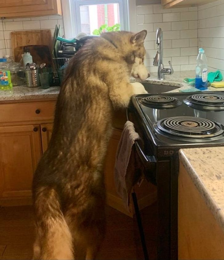 b7d77a5aa1ab2cf6c144f55d7a