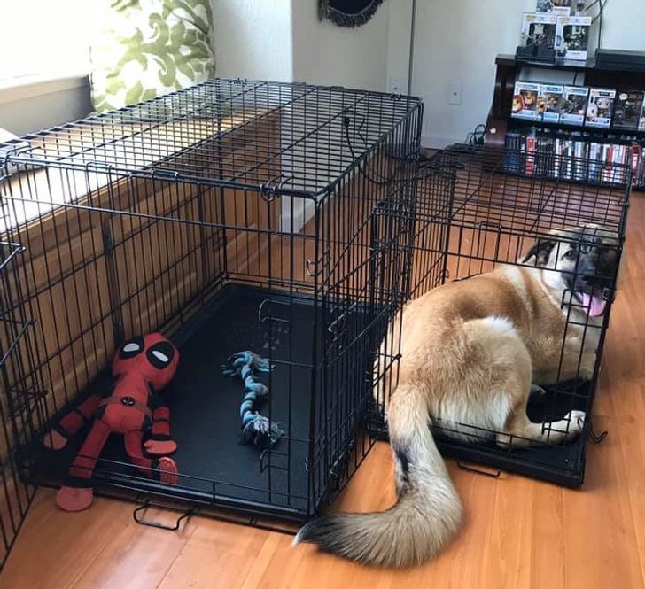 b7d78352549a5919b2b39ab735