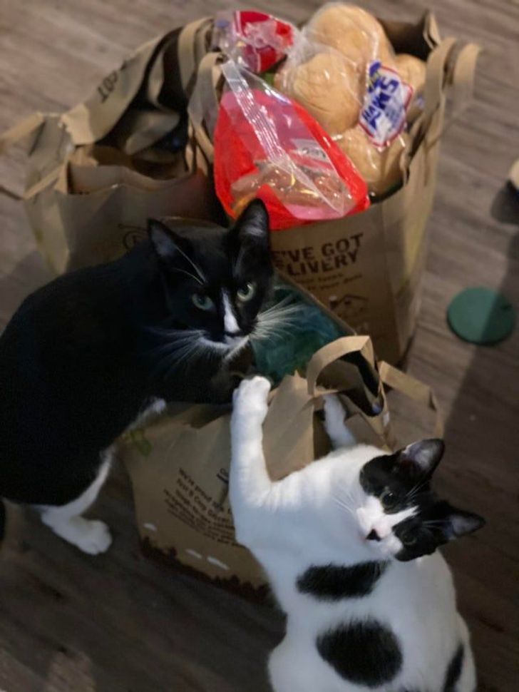 b7e34b5ad7b1a2cd7573a3b812